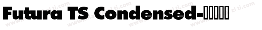 Futura TS Condensed字体转换